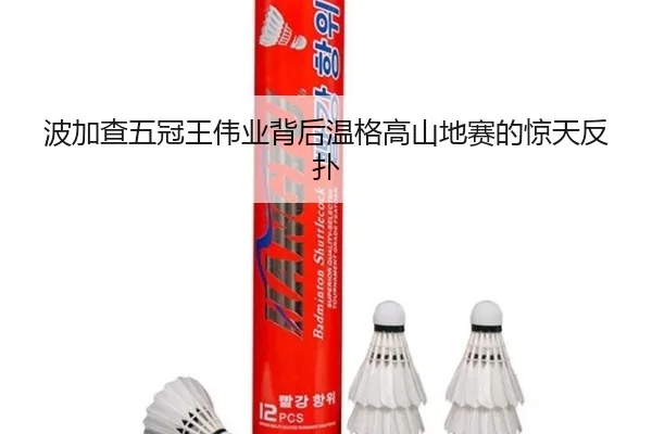 bo-jia-cha-wu-guan-wang-wei-ye-bei-hou-wen-ge-gao-shan-di-sai-de-jing-tian-fan-pu-2-583.jpg
