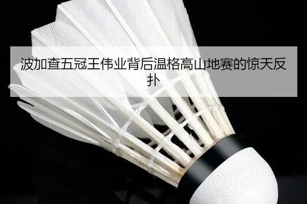 波加查五冠王伟业背后温格高山地赛的惊天反扑